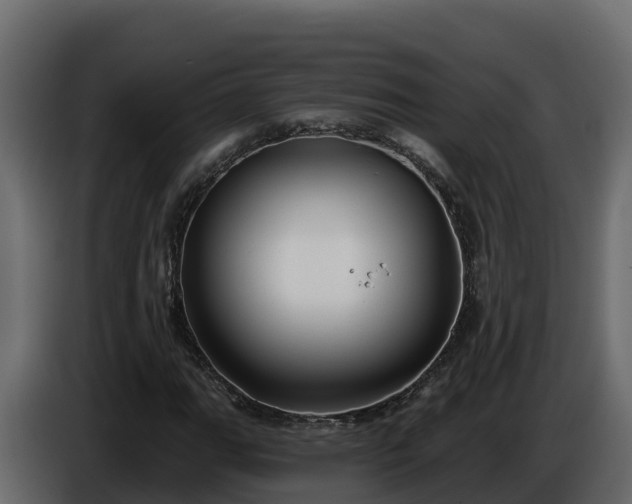 X0000085761111200703231148
