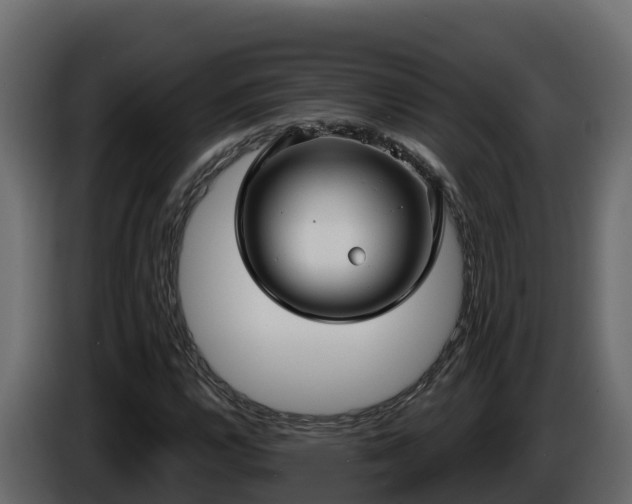 X0000085761112200703231148