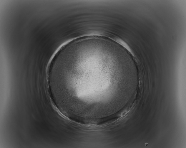 X0000085761116200703231148