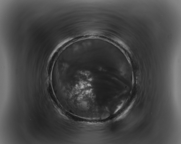 X0000085761117200703231148