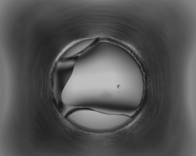X0000085761118200703231148