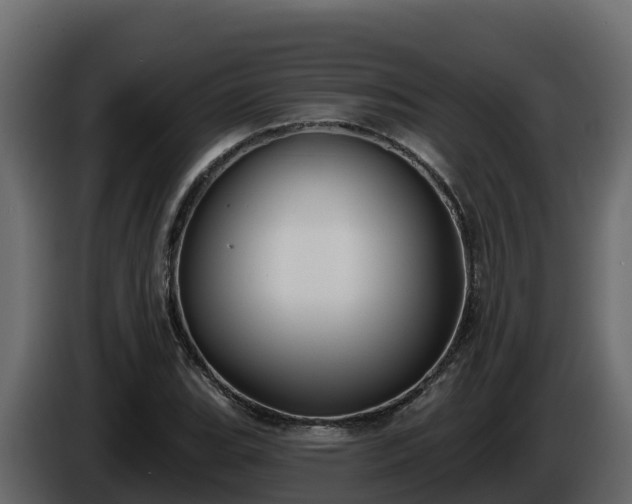 X0000085761119200703231148