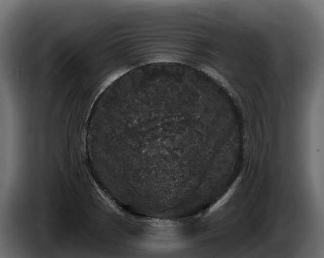 X0000085761121200703231148