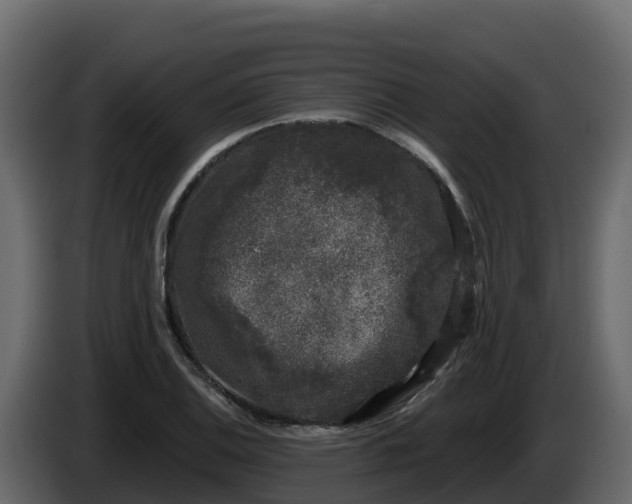 X0000085761124200703231148