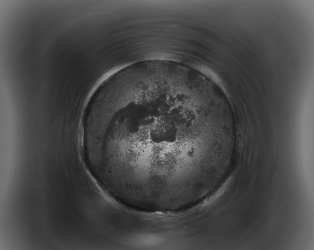 X0000085761125200703231148
