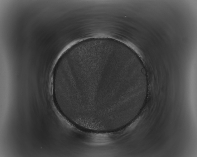 X0000085761126200703231148