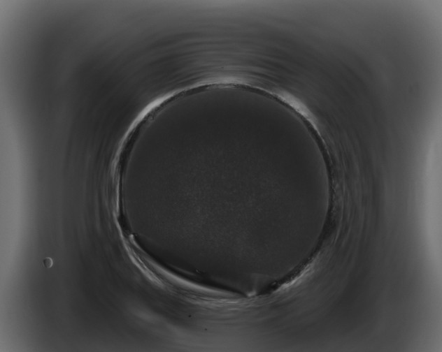 X0000085761127200703231148