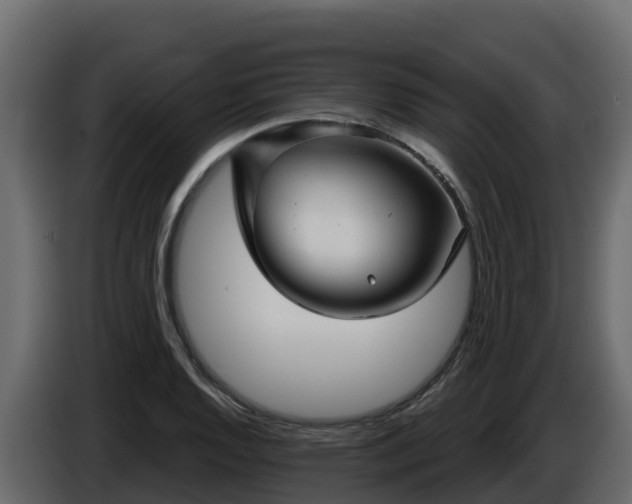 X0000085761128200703231148