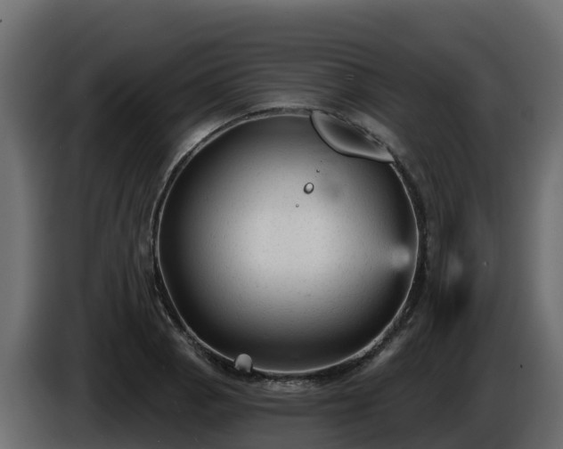 X0000085761129200703231148