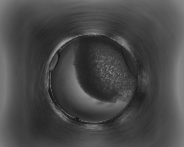 X0000085761132200703231149