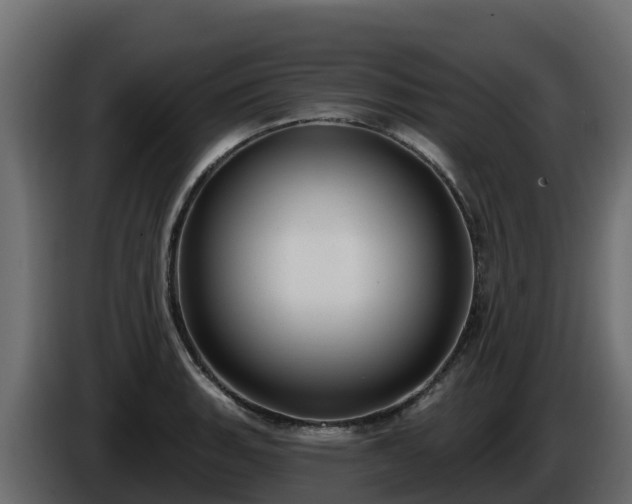 X0000085761135200703231149
