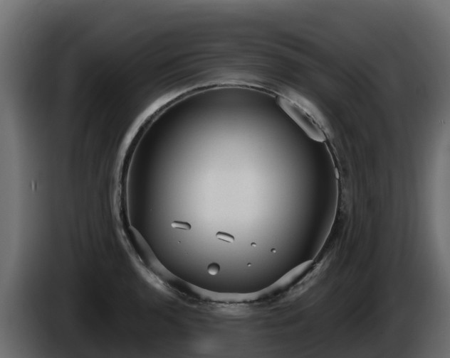 X0000085761136200703231149
