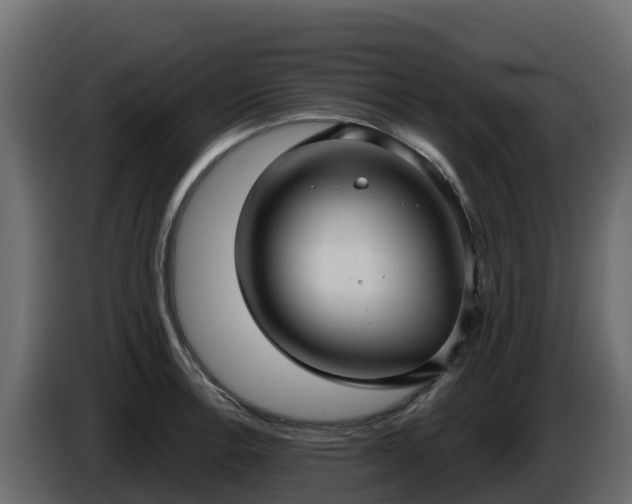 X0000085761138200703231149