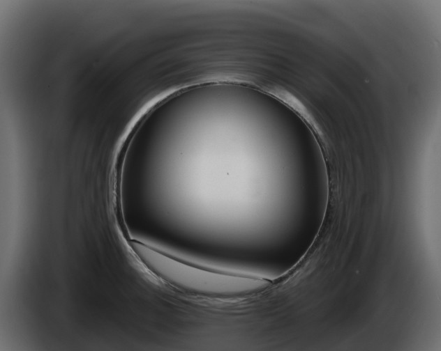 X0000085761140200703231149