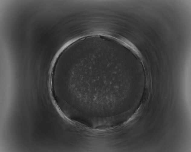 X0000085761144200703231149