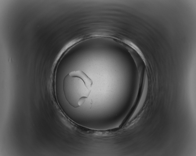 X0000085761146200703231149