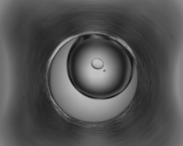 X0000085761148200703231149
