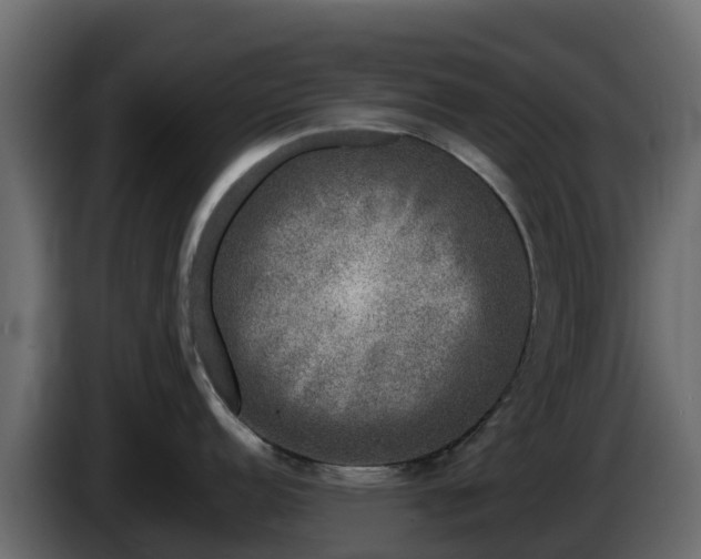 X0000085761152200703231149