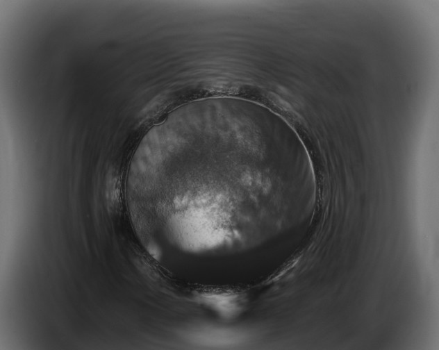 X0000085761154200703231148