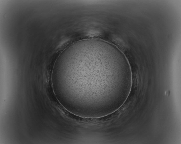 X0000085761158200703231148