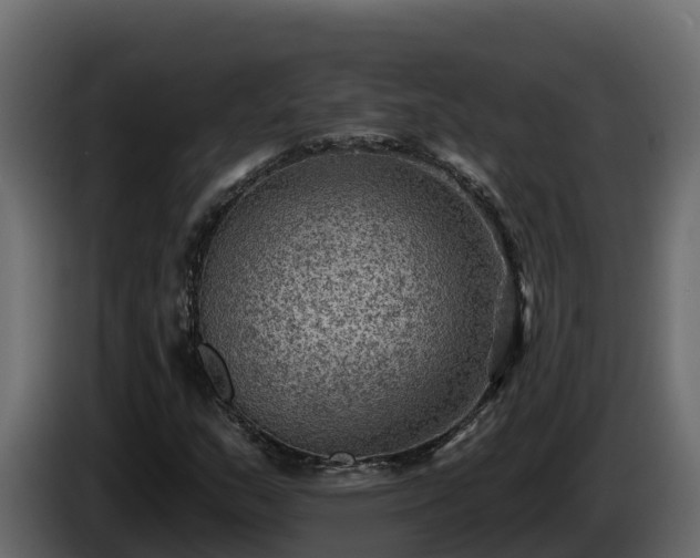 X0000085761159200703231148