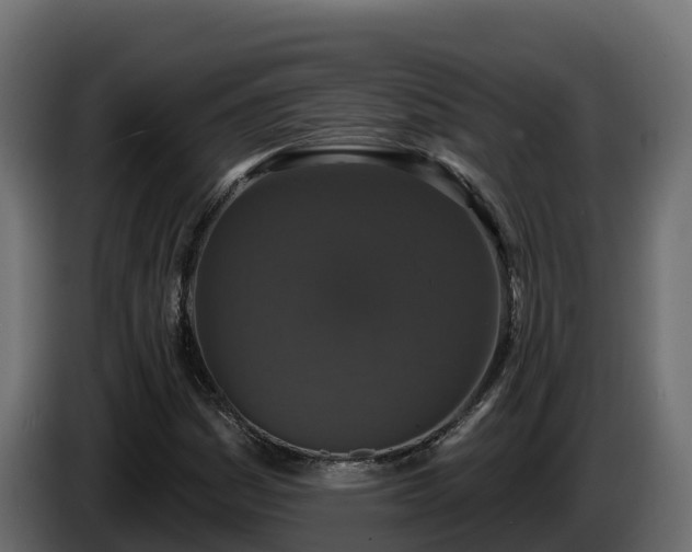 X0000085761161200703231148