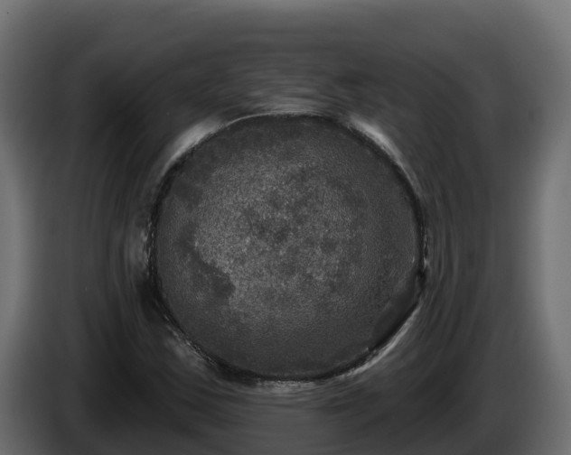 X0000085761163200703231148