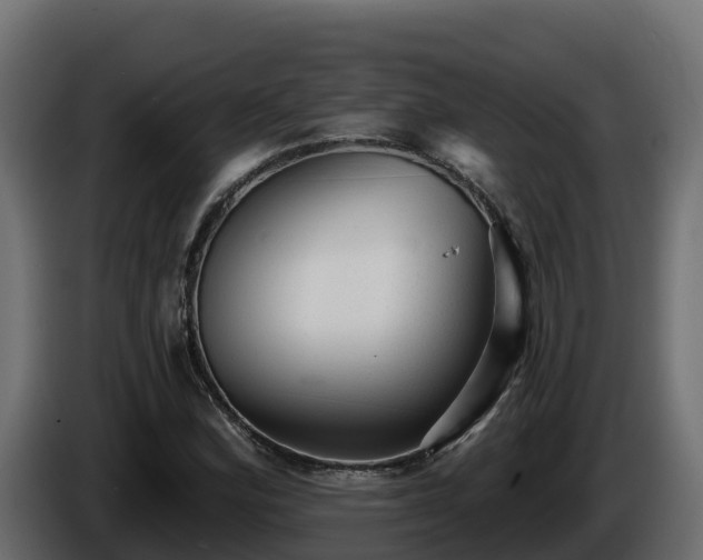 X0000085761164200703231148