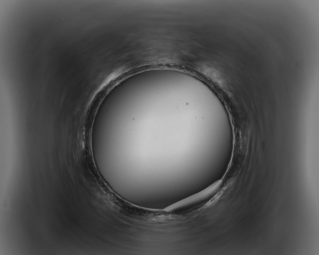 X0000085761165200703231148