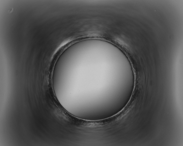 X0000085761166200703231148