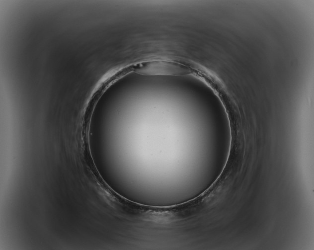 X0000085761168200703231148