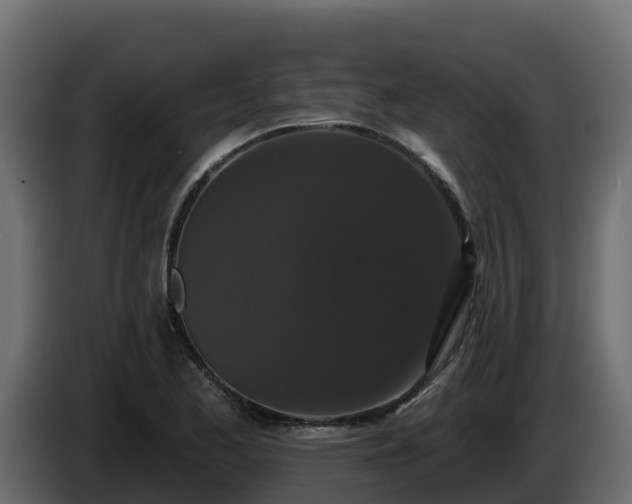 X0000085761173200703231148