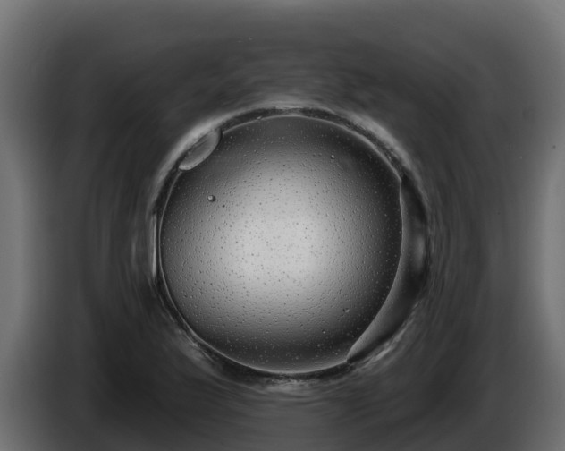 X0000085761175200703231148