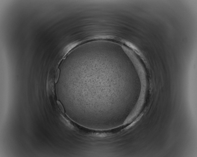 X0000085761177200703231148