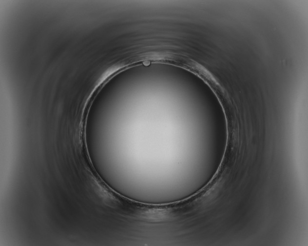 X0000085761178200703231148