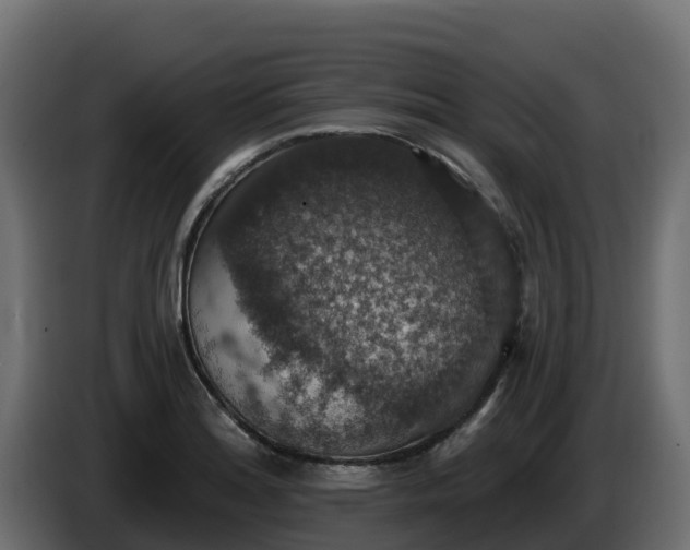 X0000085761180200703231148