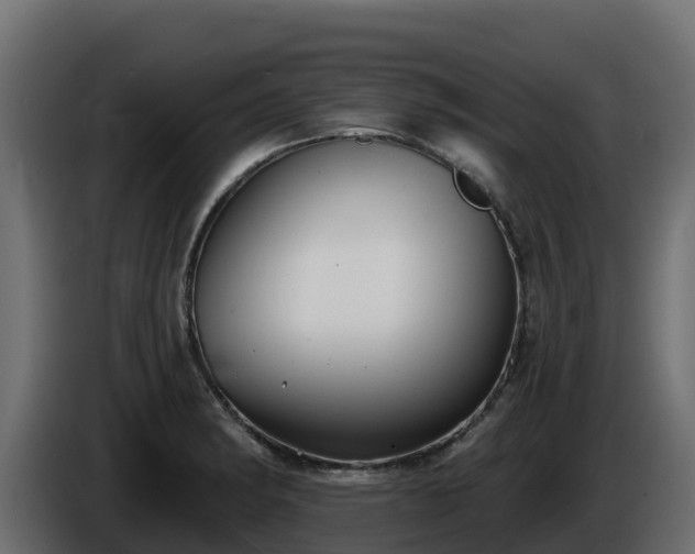 X0000085761182200703231148