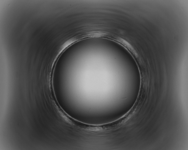 X0000085761186200703231148