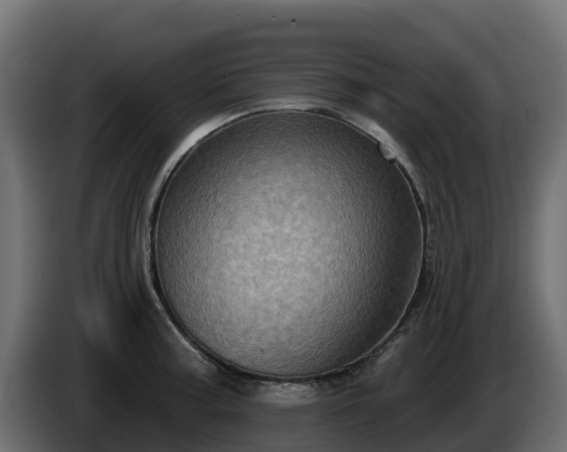 X0000085761187200703231148