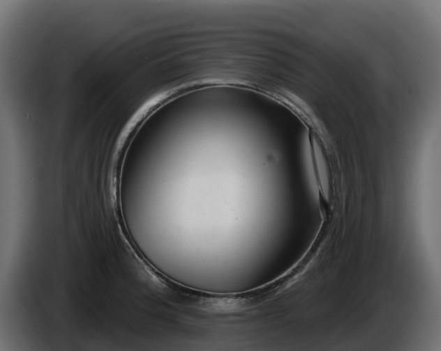 X0000085761188200703231148