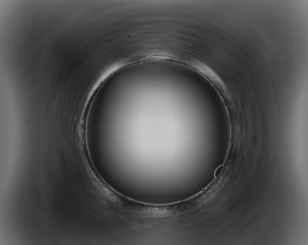 X0000085761190200703231148