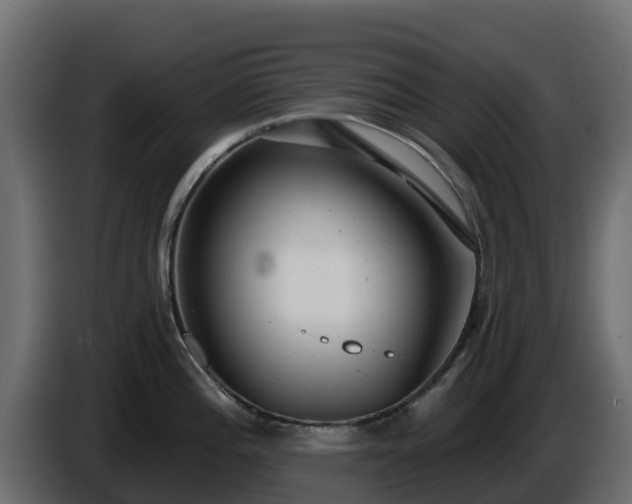 X0000085761196200703231148