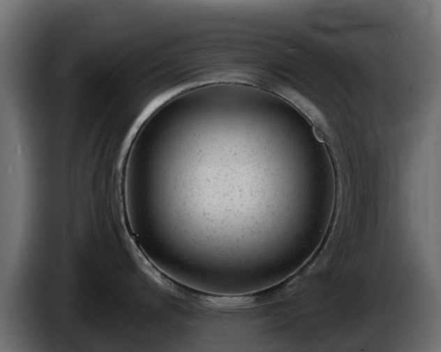 X0000085761200200703231147