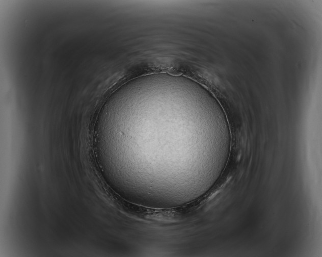 X0000085761201200703231147