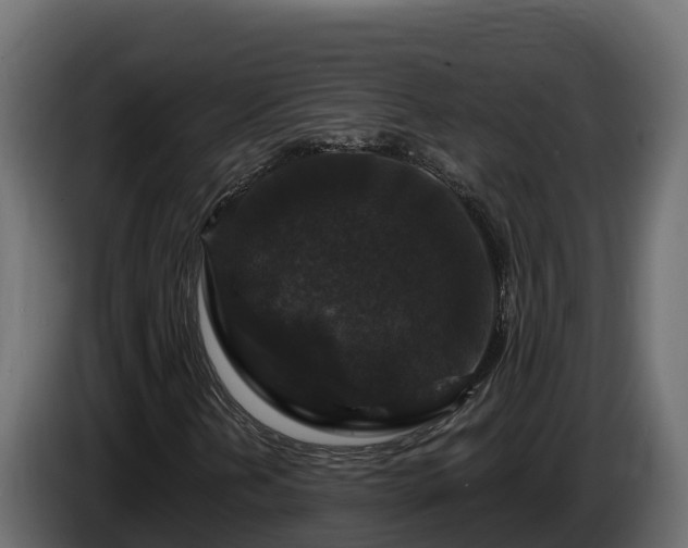 X0000085761202200703231147
