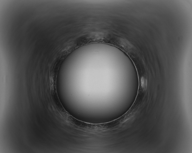 X0000085761203200703231147