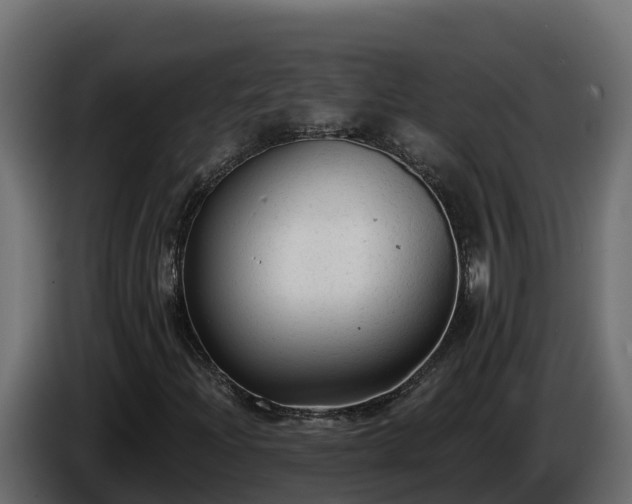 X0000085761204200703231147