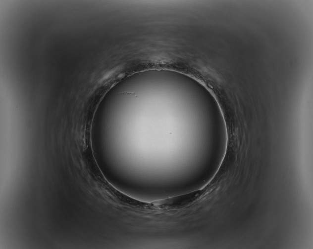 X0000085761205200703231147