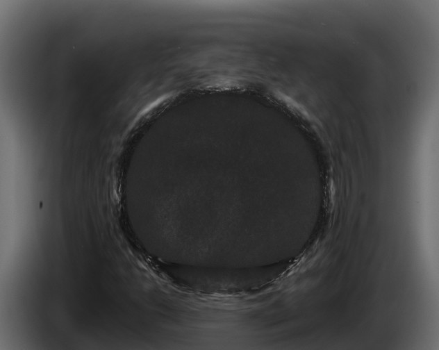 X0000085761206200703231147