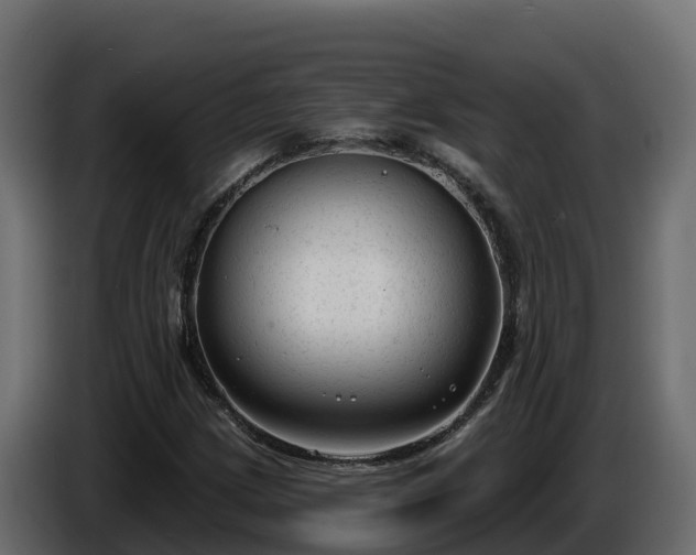 X0000085761209200703231147